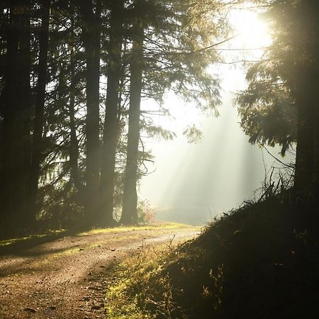Wohnung In Hohegeiss Mit Grill Und Garten Braunlage Exteriér fotografie