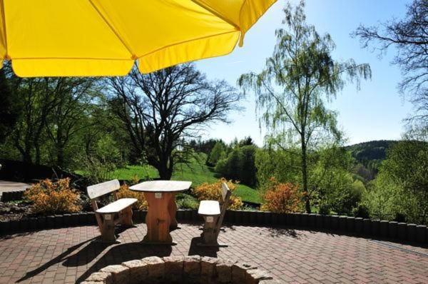 Wohnung In Hohegeiss Mit Grill Und Garten Braunlage Exteriér fotografie